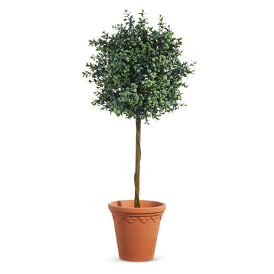 34" Potted Boxwood Topiary