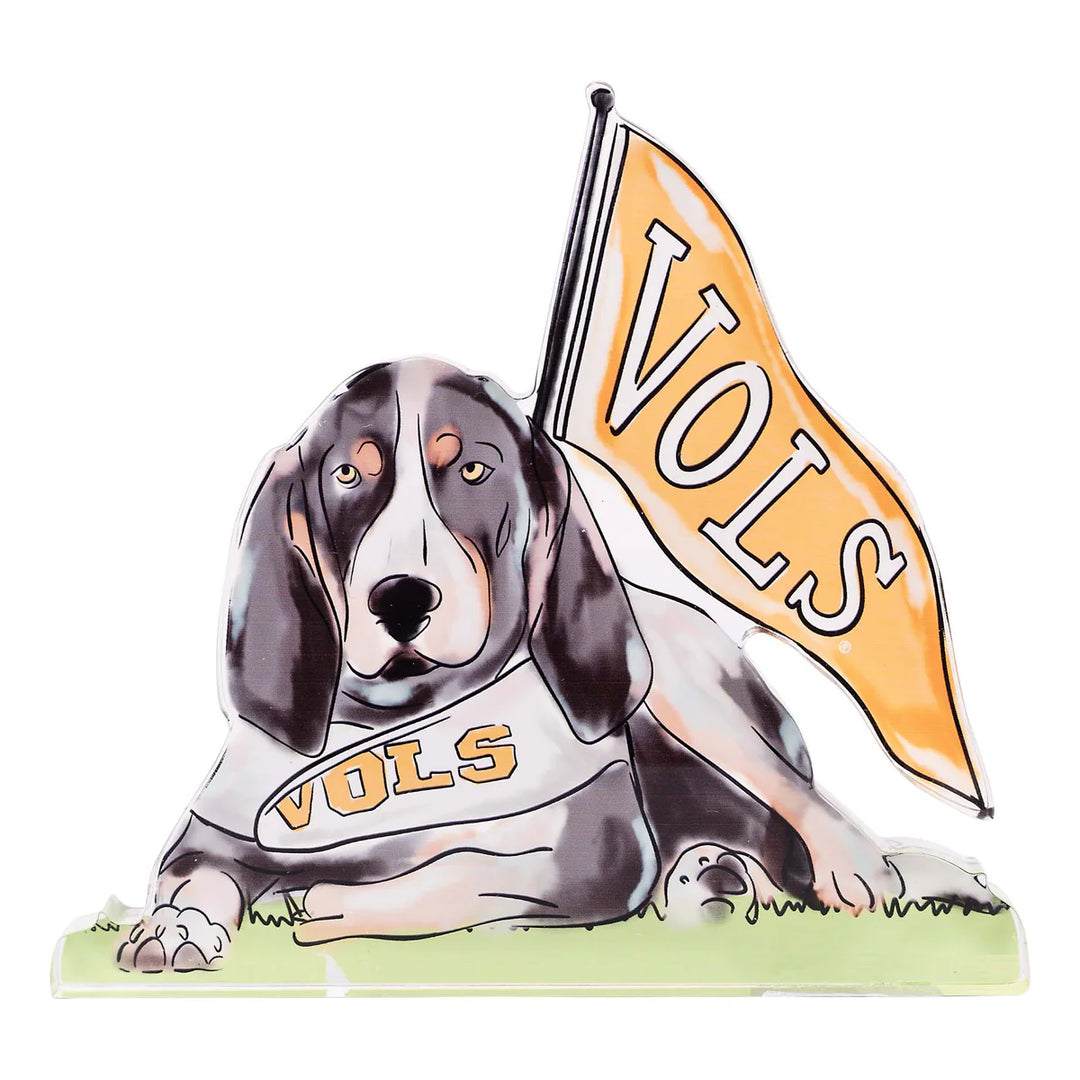 Tennessee Smoky Acrylic Stand