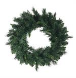 30" Catalina Spruce Wreath  175 Tips