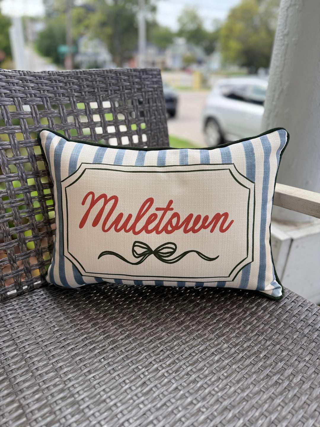 French Stripe Ribbon Muletown + Accent Piping Pillow