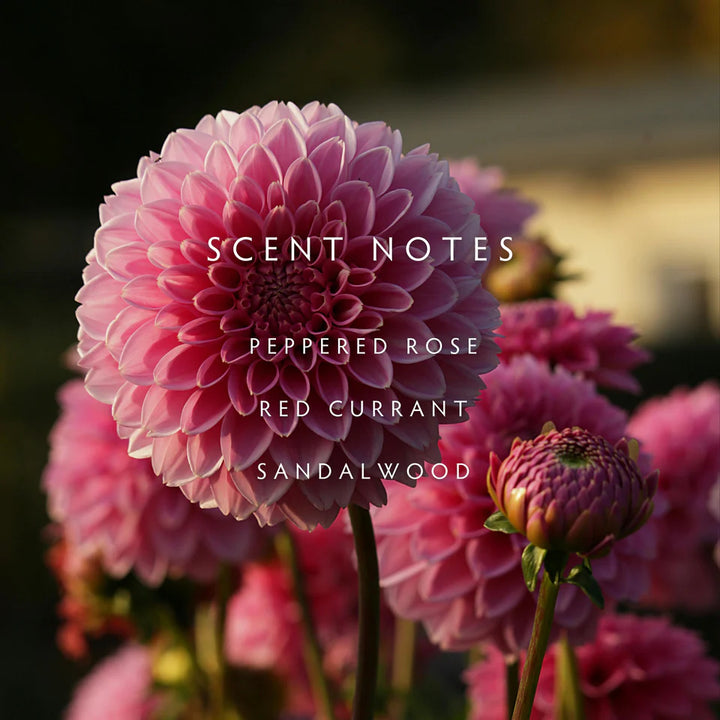 Dahlia Large 2-Wick Candle