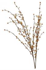 Wild Bittersweet Bush Orange/Yellow 35" L