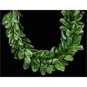 Green Magnolia Leaf Garland  60"L
