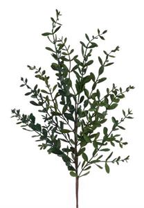 Wild Boxwood Spray Green  32" L