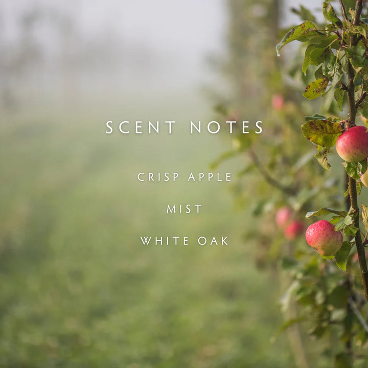 Fog Large 2-Wick Candle