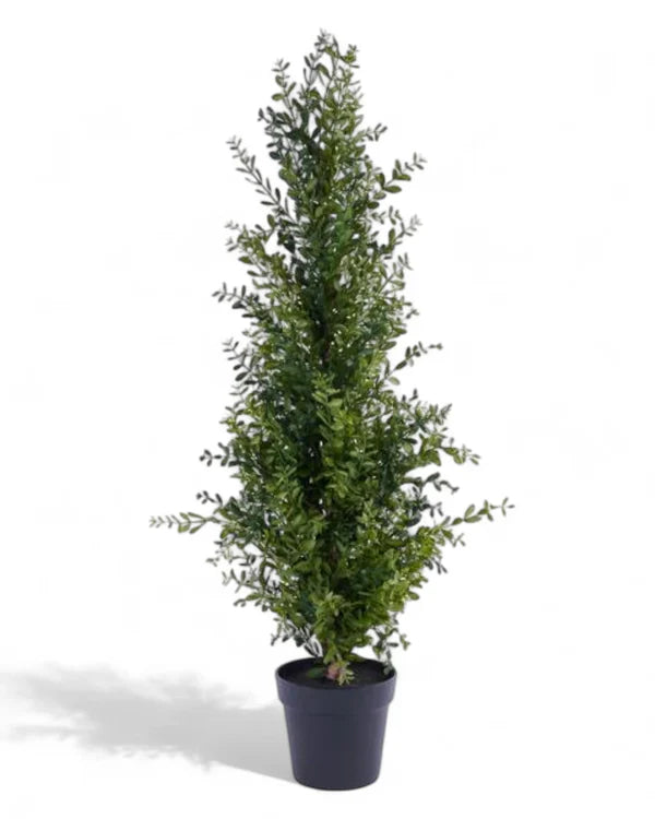 Potted Boxwood Tree Green 48" H