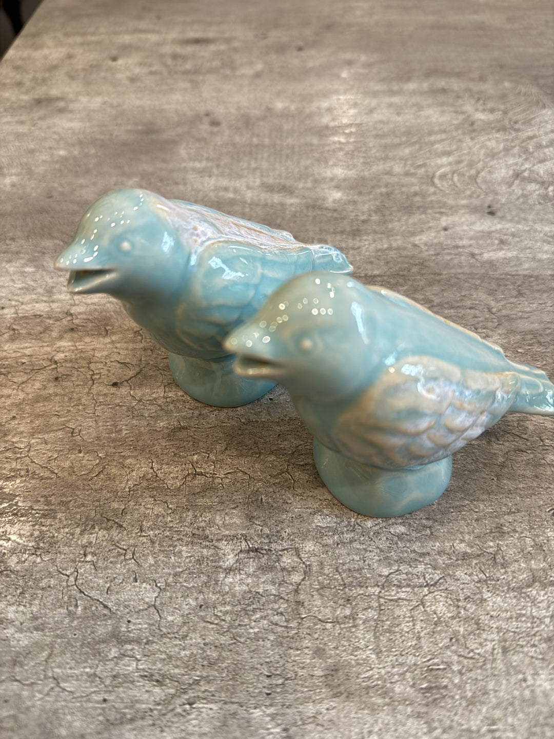 Sparrow Salt and Pepper Shaker Aqua