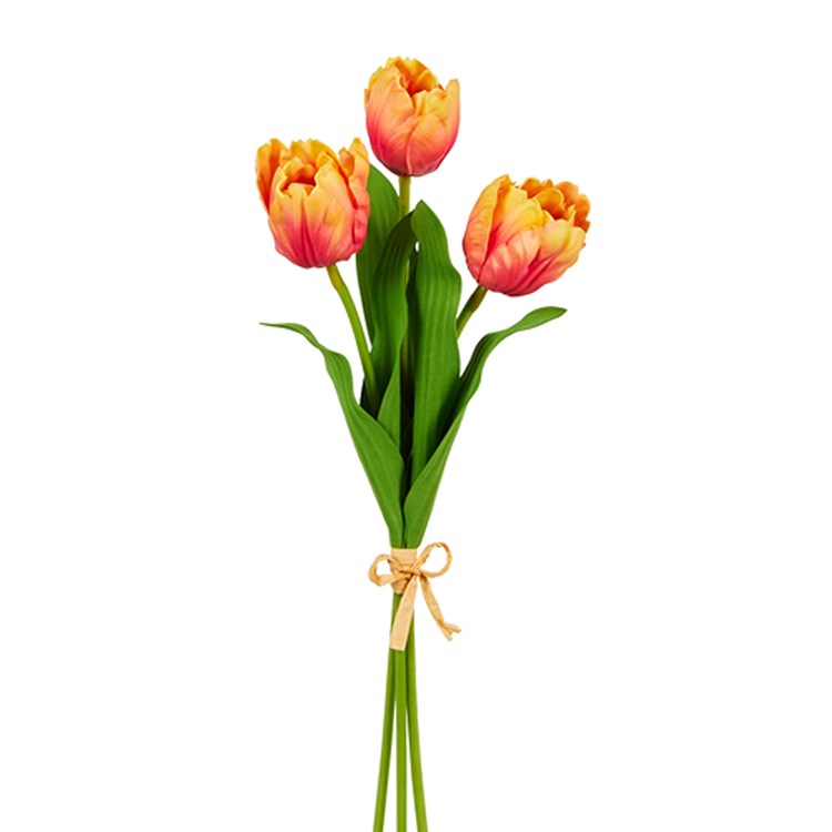 18 Orange Tulip Bundle