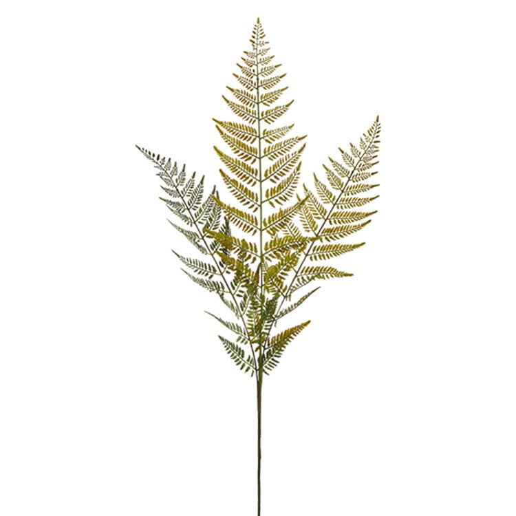 43 Fern Spray