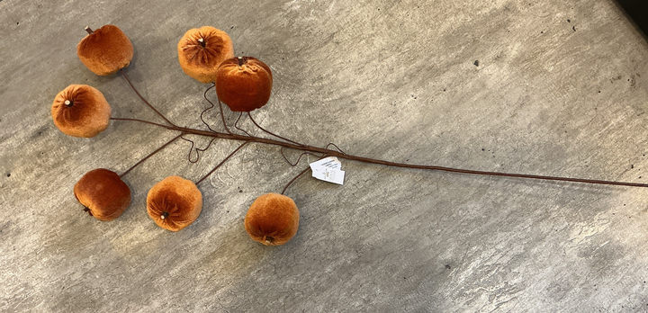 Pumpkin Stem Rust  23.5"