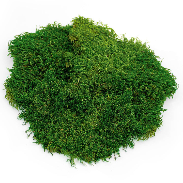 SuperMoss - Sheet Moss PR Bulk 20-24ft² FG 3lb
