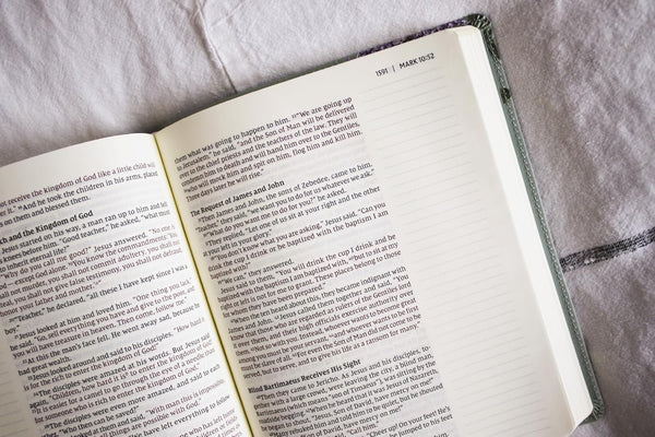 Artisan Collection Bible NIV LP | Sage Floral