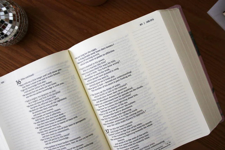 Artisan Collection Bible NIV LP | Blushed Floral