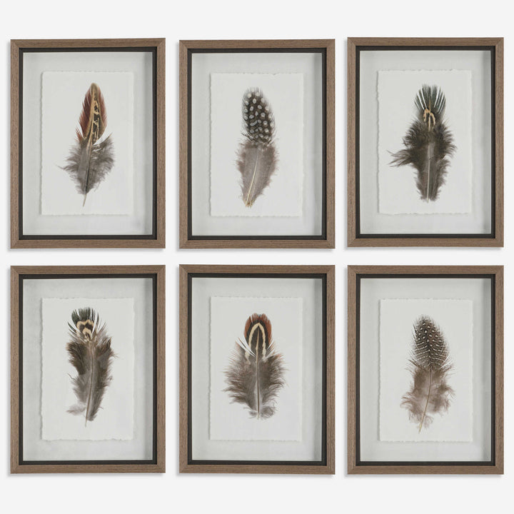 Birds of a Feather Wall Print