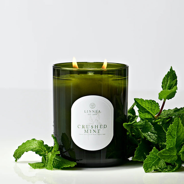 Linnea Crushed Mint Large 2-Wick Candle (11 oz)