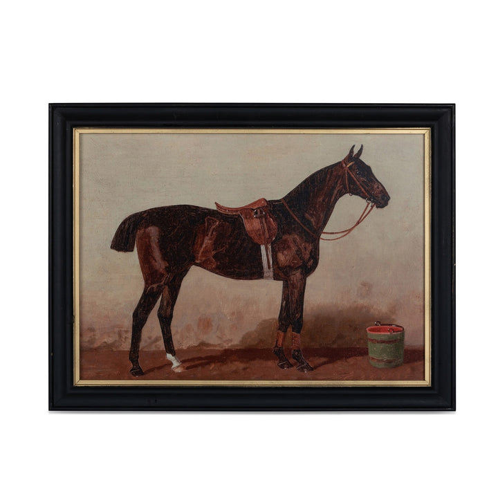 English Riding Horses Framed Print