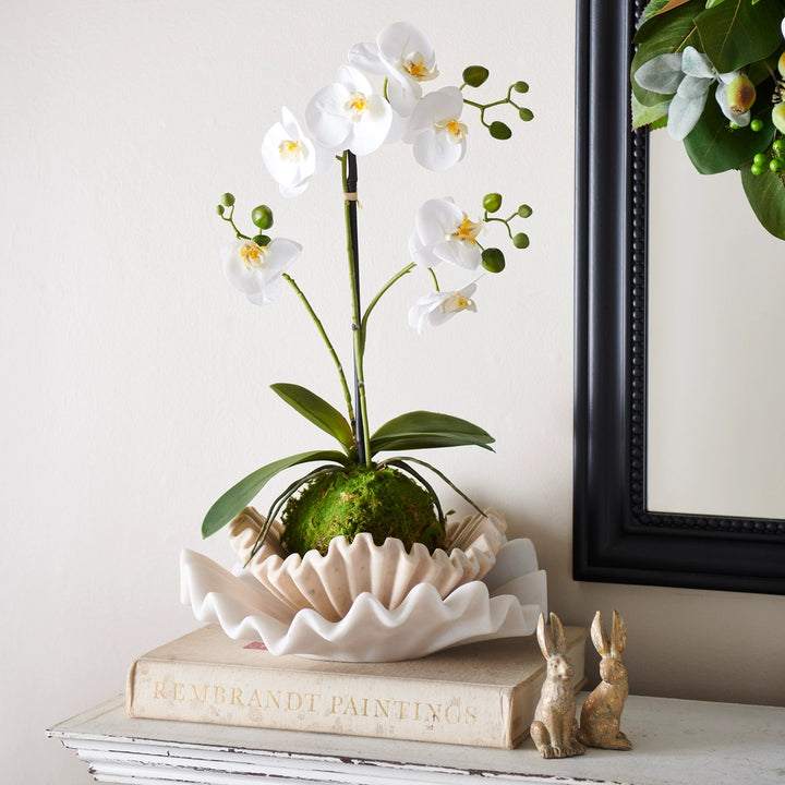 23.75 Real Touch White Orchid with Moss Ball