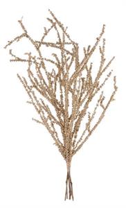 Styro Ball/Bamboo Twig Champagne