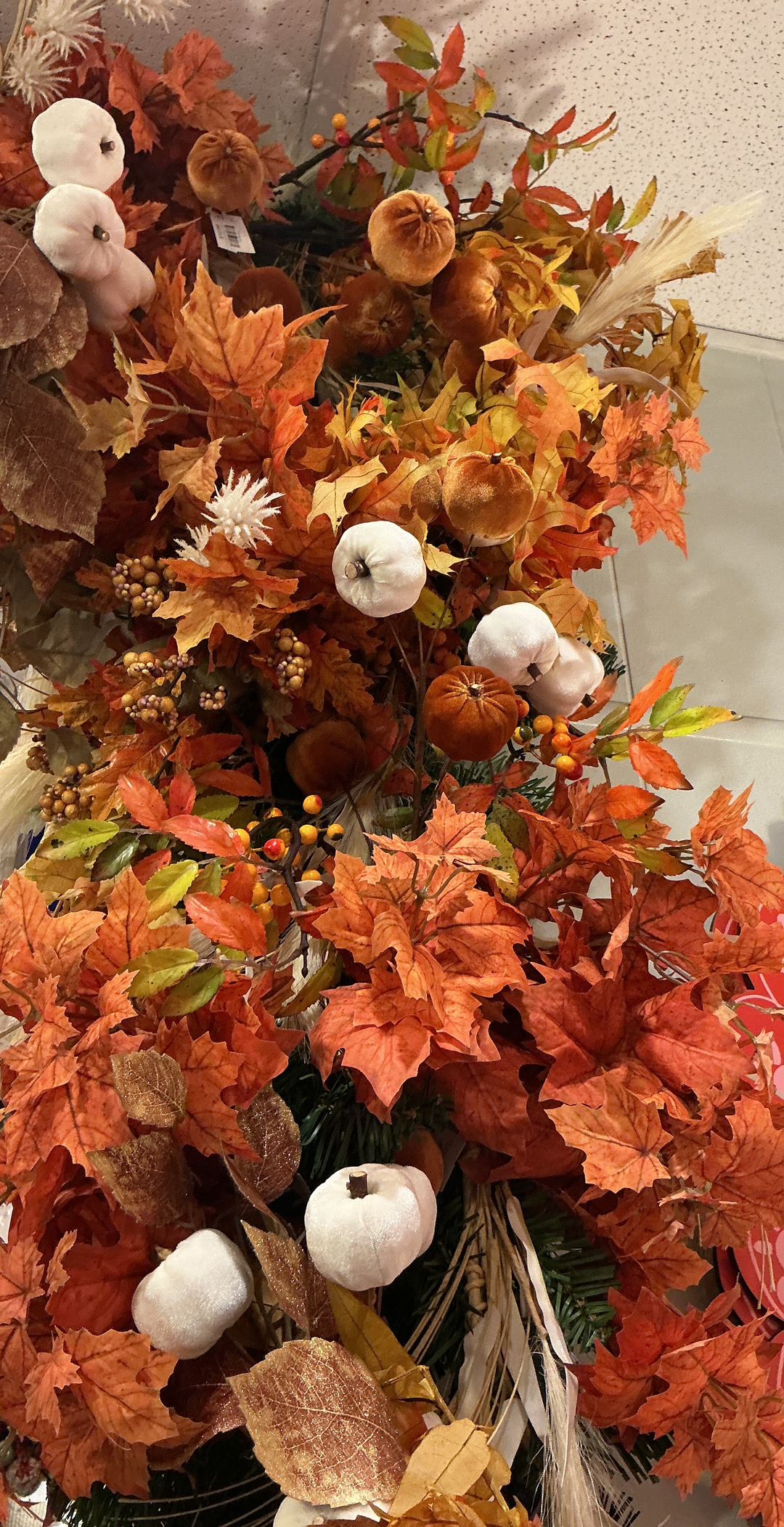 Pumpkin Stem Rust  23.5"