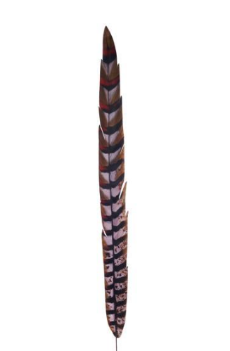 32"L Faux Pheasant Feather with Wire Set of 12