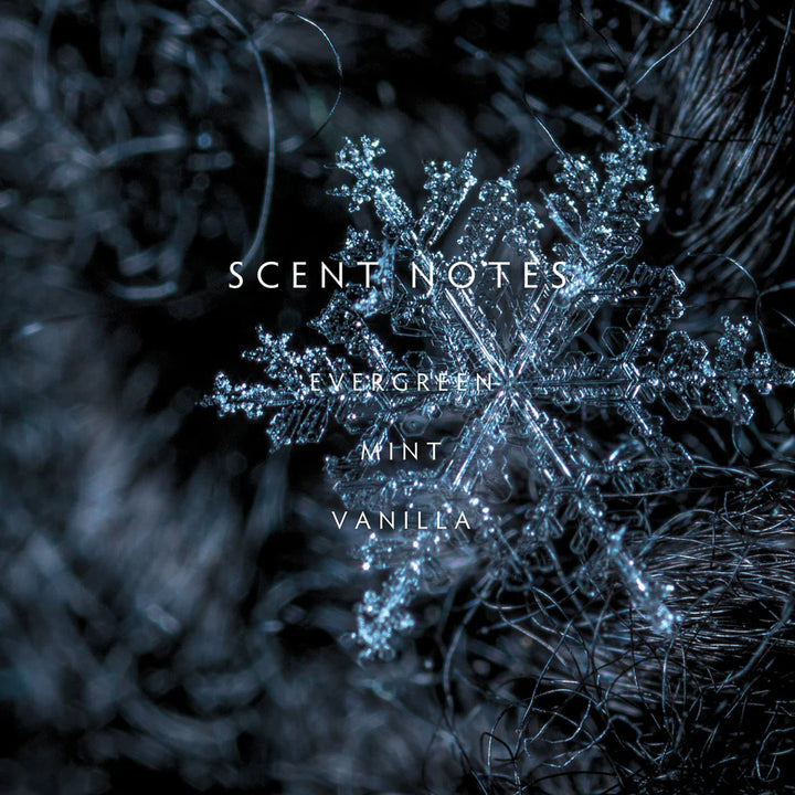 Winter Large 2-Wick Candle