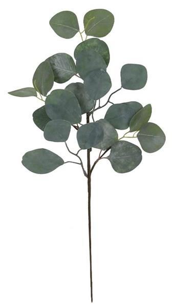 SILVER DOLLAR EUCALYPTUS PICK 18.5"