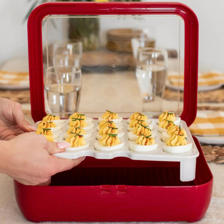 Fancy Panz Egg Tray Insert