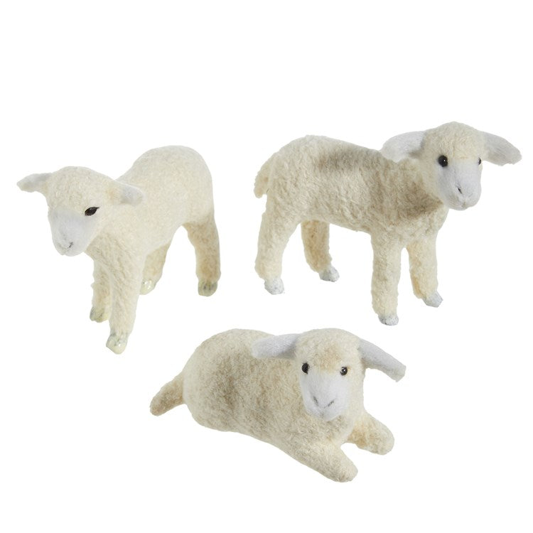 3.5 Lamb