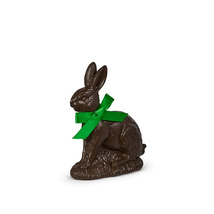 7 Chocolate Bunny