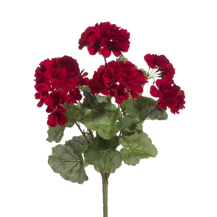 18 Red Geranium Bush