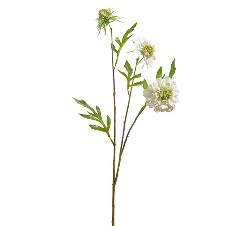 24.5 White Scabiosa Spray