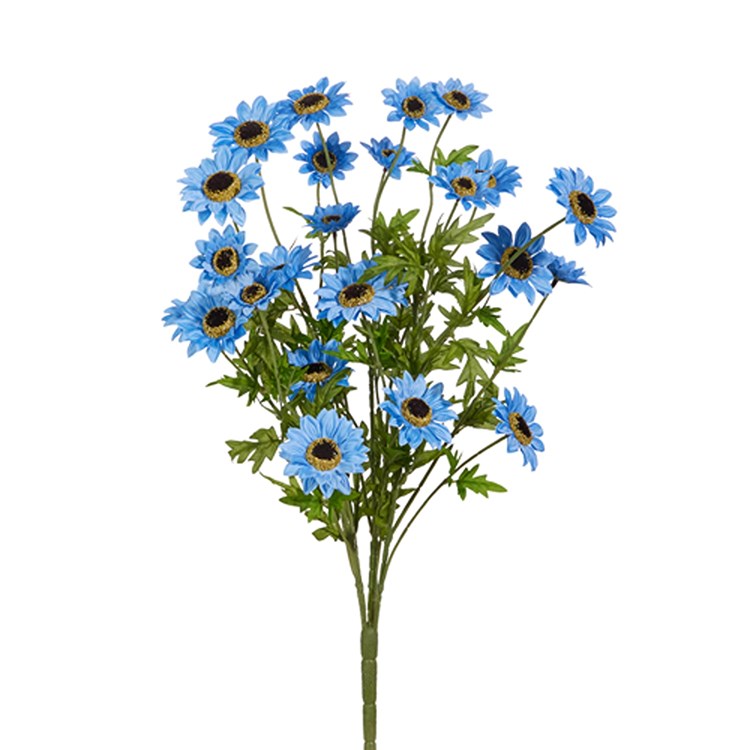 25 Blue Black Eyed Susan Spray