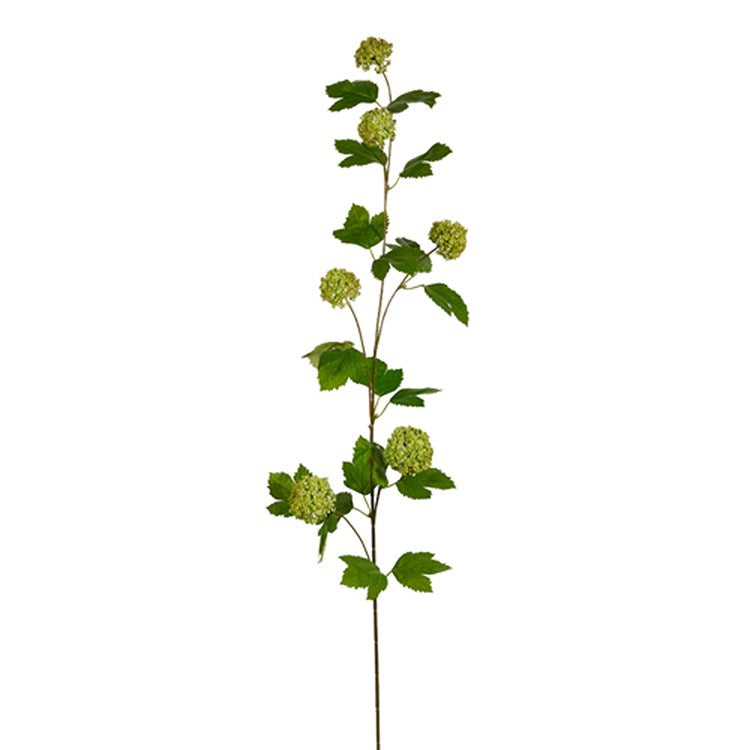 42 Sedum Spray