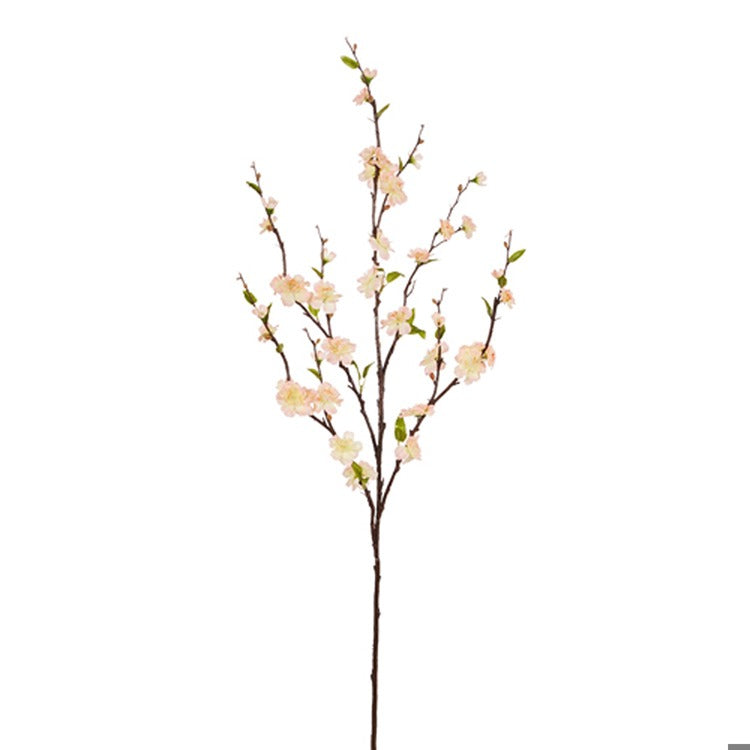 39 Pink Cherry Blossom Branch