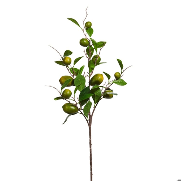 36 Lime Spray