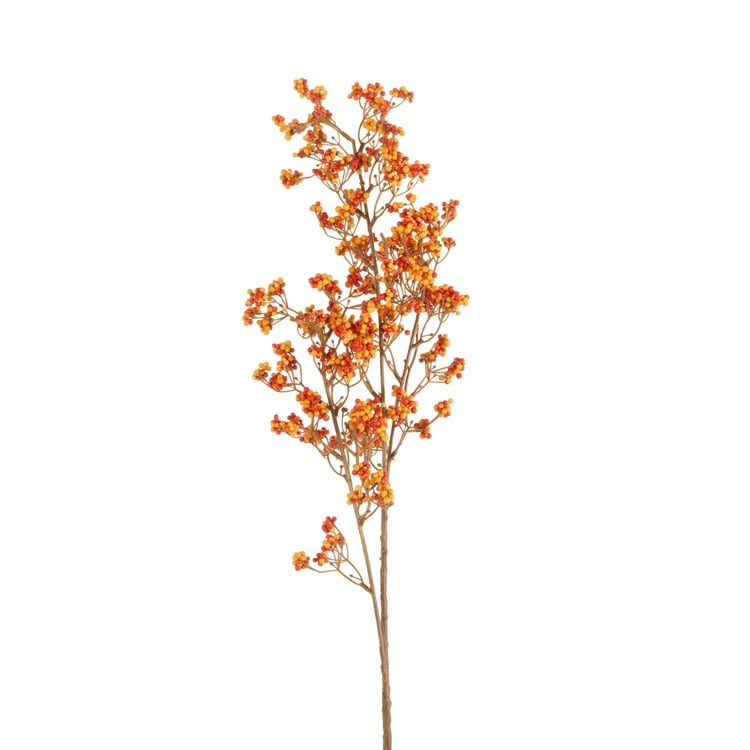 32 Orange Berry Spray