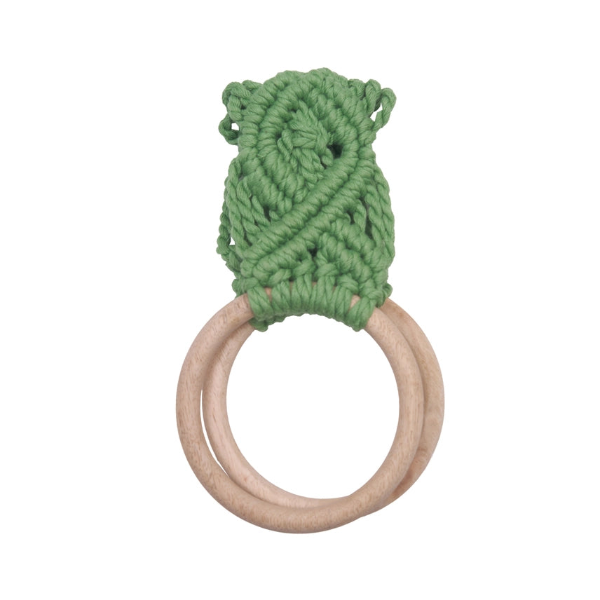 Succulent Kitchen Towel Holder
