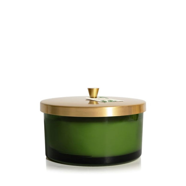 Frasier Fir Poured Candle, 4-Wick