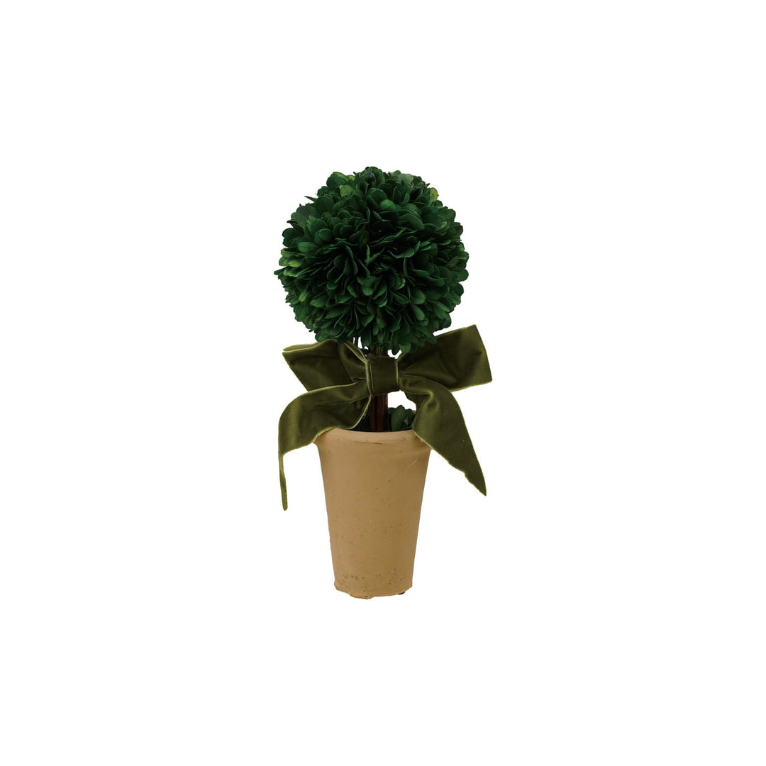 Dried Boxwood Tree in Terra-cotta Pot with Green Velvet Bow