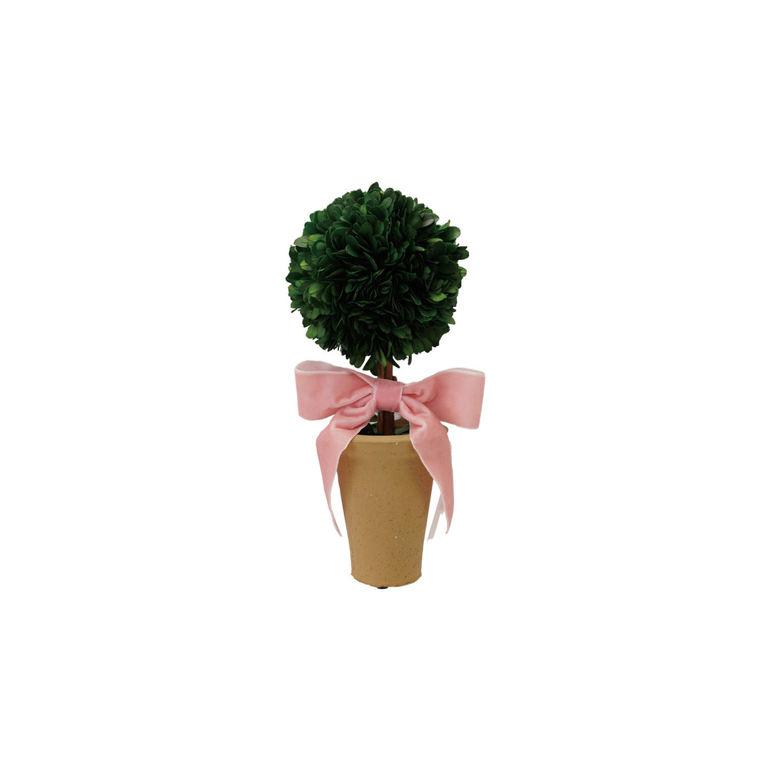 Dried Boxwood Tree in Terra-cotta Pot with Pink Velvet Bow