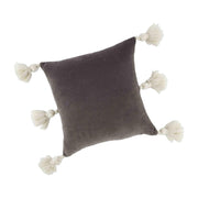Velvet Tassel Pillow