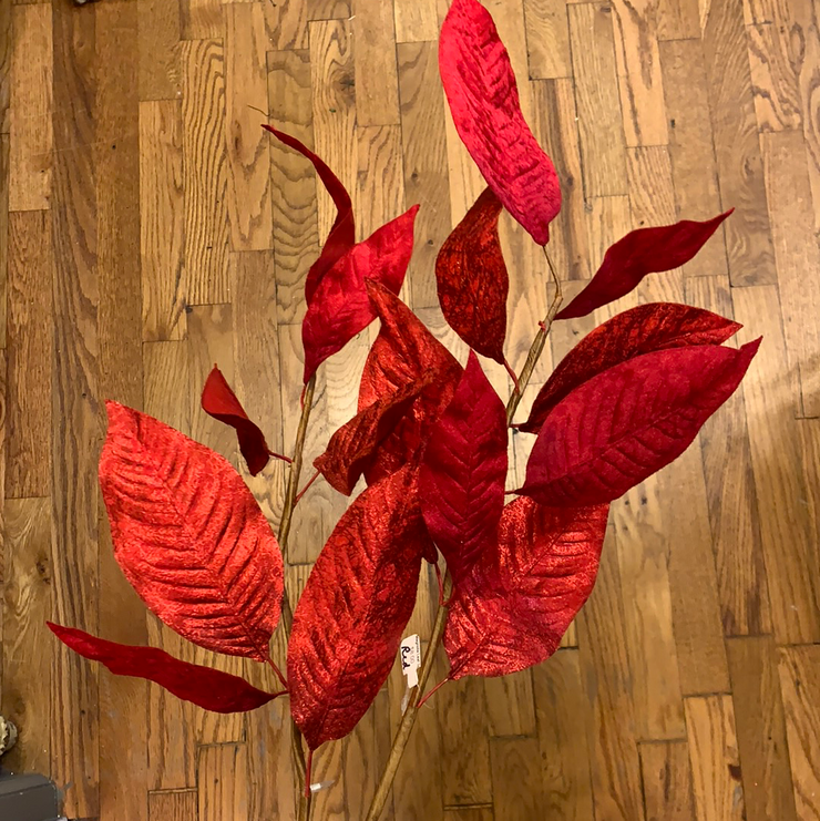 Red textured magnolia leaf
